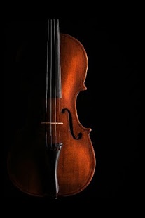 Rothschild’s Violin